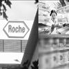跨國醫藥巨頭：夢想能否變成現實？